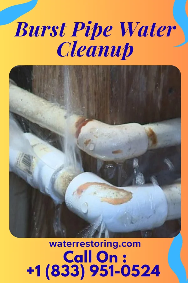 Burst Pipe Water Cleanup in Roots, PA