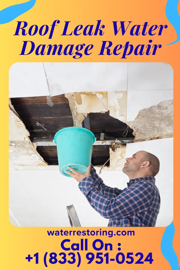 Roof Leak Water Damage Repair in Roots, PA