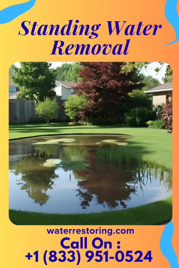 Standing Water Removal in Roots, PA